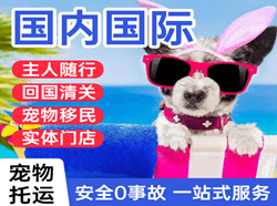 果洛玛沁航空快运国际宠物托运 【国